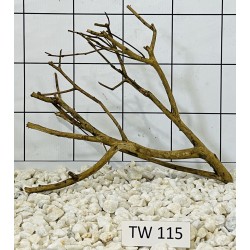 Talawawood 115