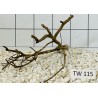 Talawawood 115