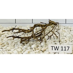 Talawawood 117