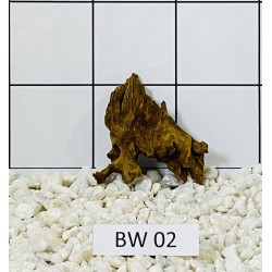 Bogwood 02