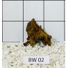Bogwood 02
