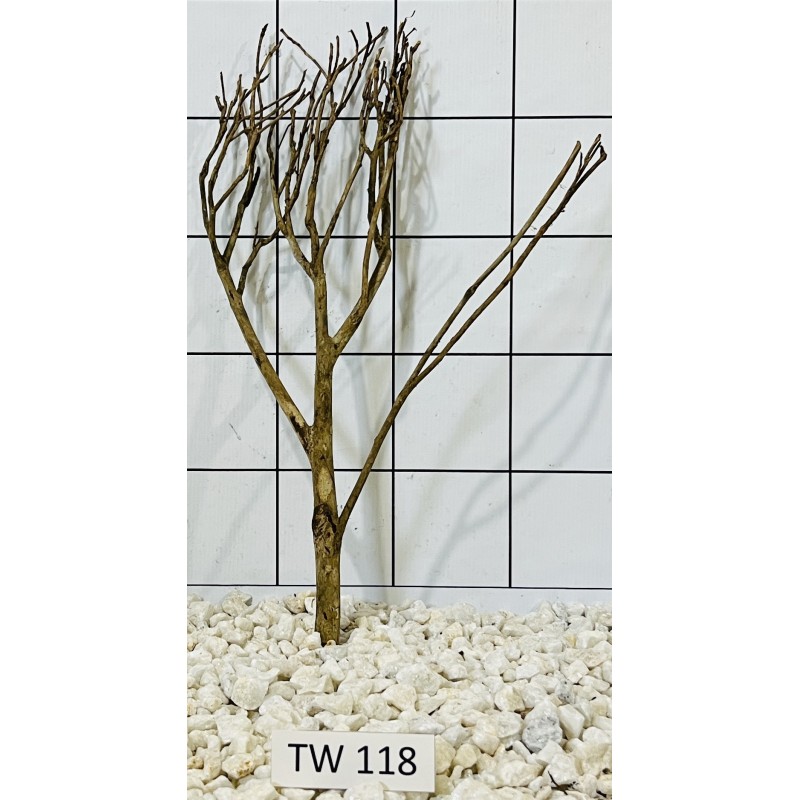 Talawawood 118