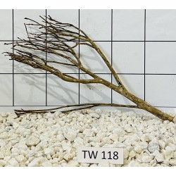 Talawawood 118