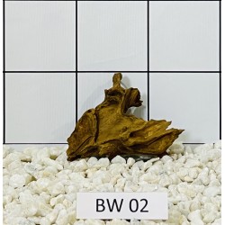 Bogwood 02