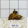 Bogwood 02