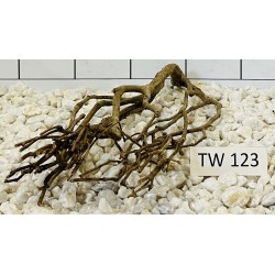 Talawawood 123