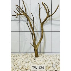 Talawawood 124