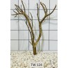 Talawawood 124