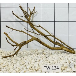 Talawawood 124