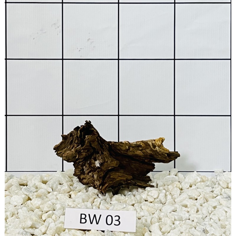 Bogwood 03