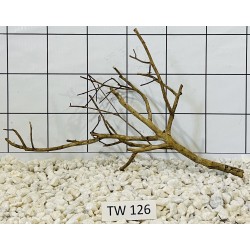Talawawood 126