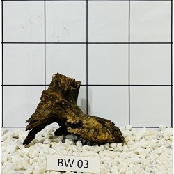 Bogwood 03