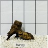 Bogwood 03