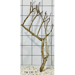 Talawawood 130