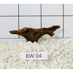 Bogwood 04