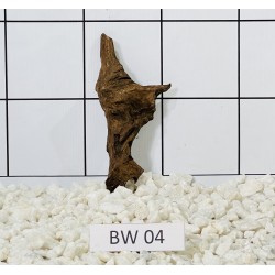Bogwood 04