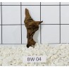 Bogwood 04