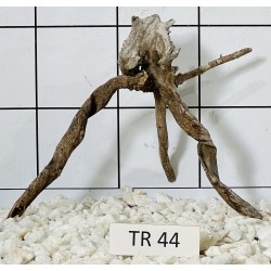 Spiderwood 44