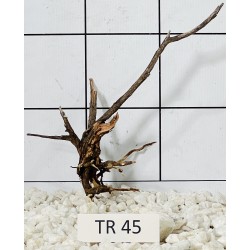 Spiderwood 45