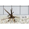 Spiderwood 45