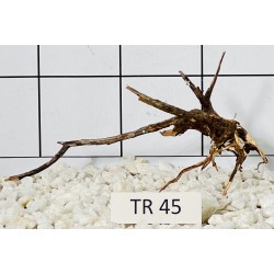 Spiderwood 45