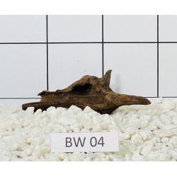 Bogwood 04