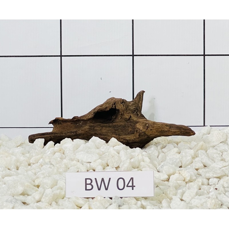 Bogwood 04