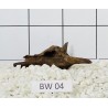 Bogwood 04