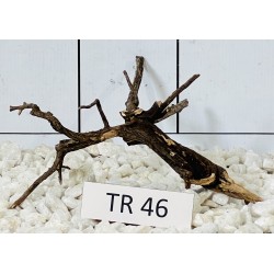 Spiderwood 46