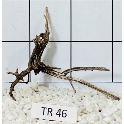 Spiderwood 46