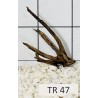 Spiderwood 47