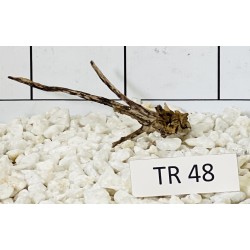 Spiderwood 48