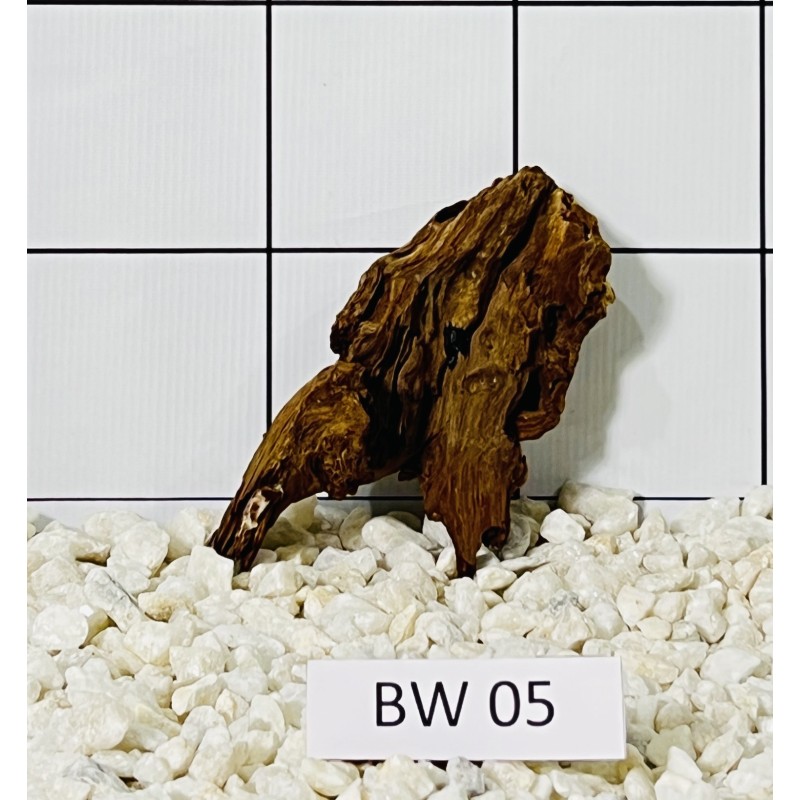 Bogwood 05