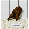 Bogwood 05
