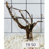 Spiderwood 50
