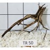 Spiderwood 50
