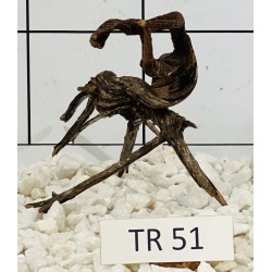 Spiderwood 51