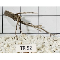 Spiderwood 52