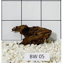 Bogwood 05
