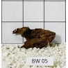Bogwood 05