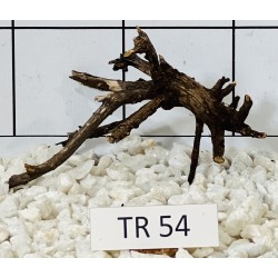 Spiderwood 54