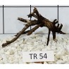 Spiderwood 54