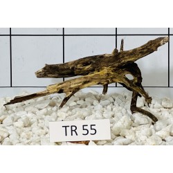 Spiderwood 55