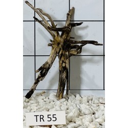 Spiderwood 55