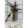 Spiderwood 55