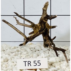 Spiderwood 55