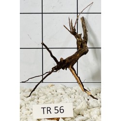 Spiderwood 56