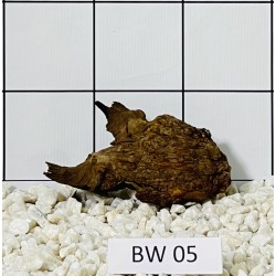 Bogwood 05