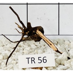 Spiderwood 56