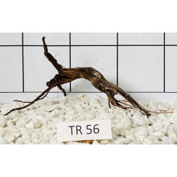 Spiderwood 56